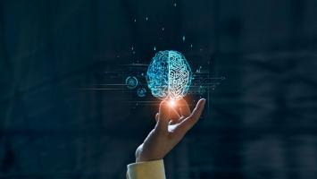 El neuromarketing y su aplicación en la empresa