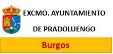 Biblioteca gestionada por el Ayuntamiento de Pradoluengo